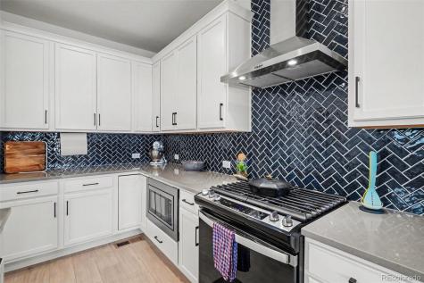15050 Gladshine Drive Parker CO 80134