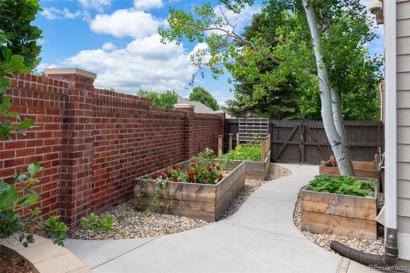 7806 Aravon Court Lone Tree CO 80124