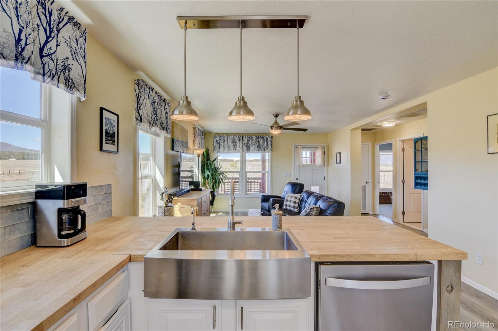 261 Bridle Path Hartsel CO 80449