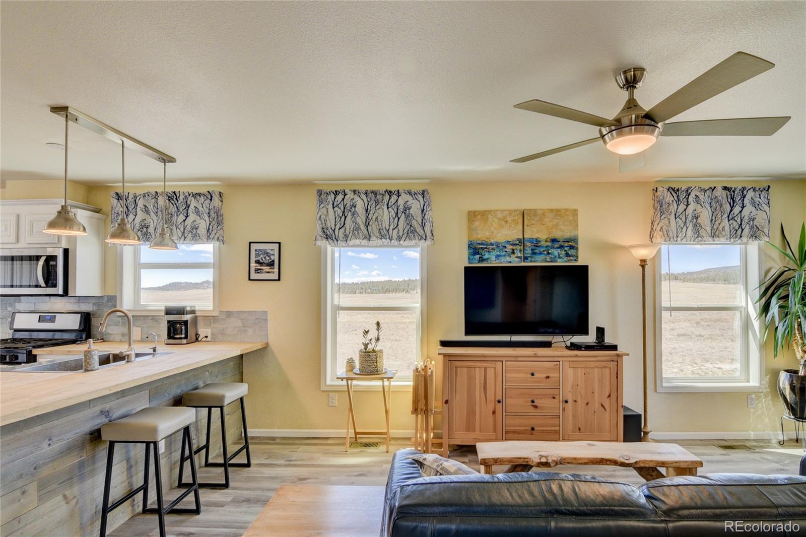 261 Bridle Path Hartsel CO 80449