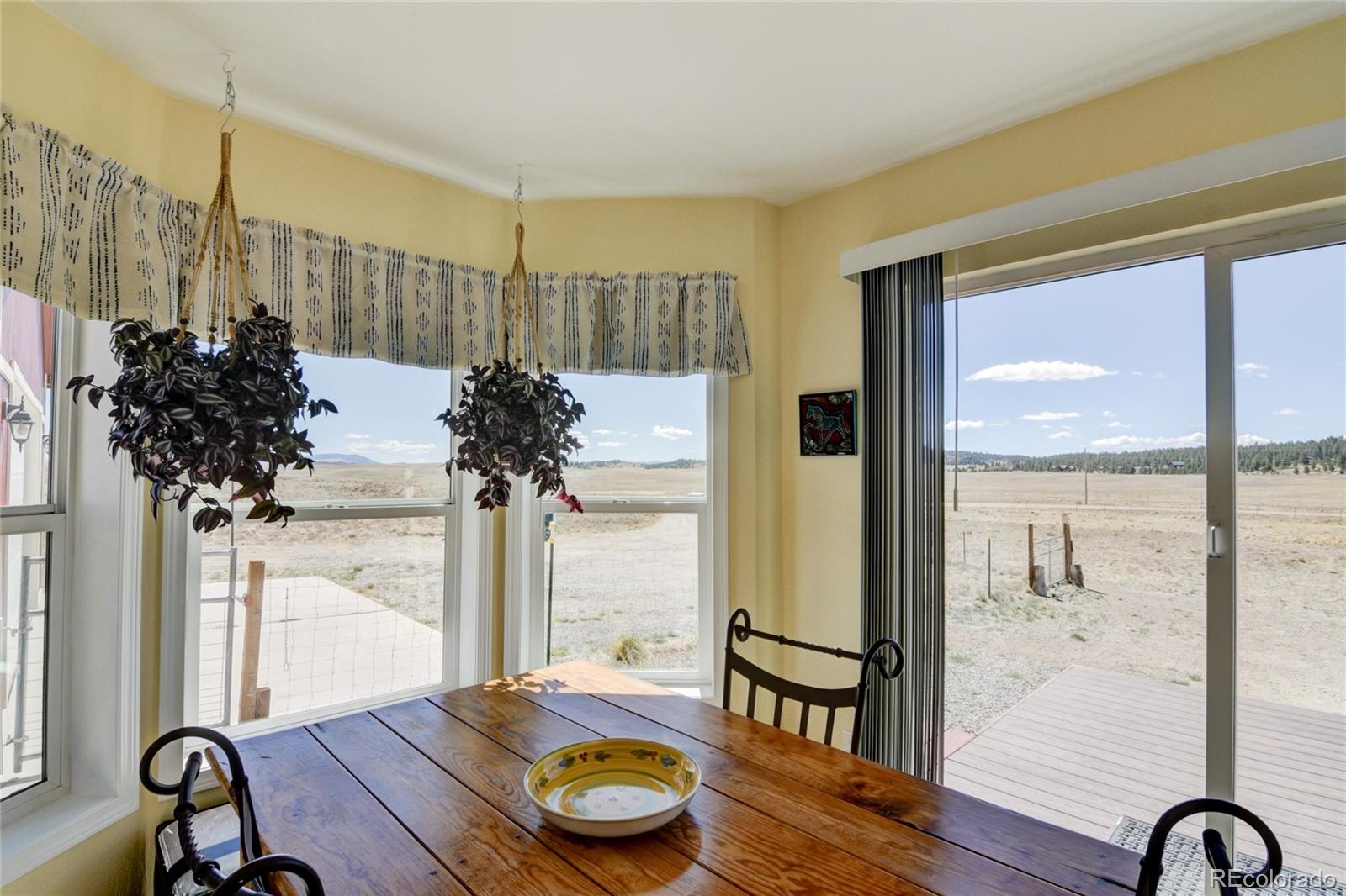 261 Bridle Path Hartsel CO 80449