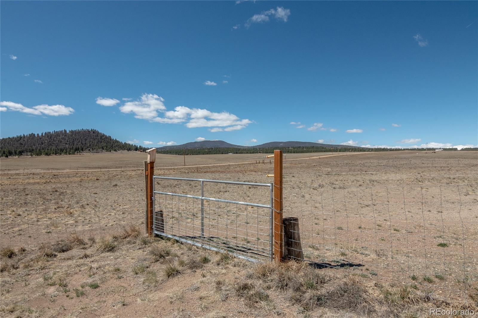 261 Bridle Path Hartsel CO 80449
