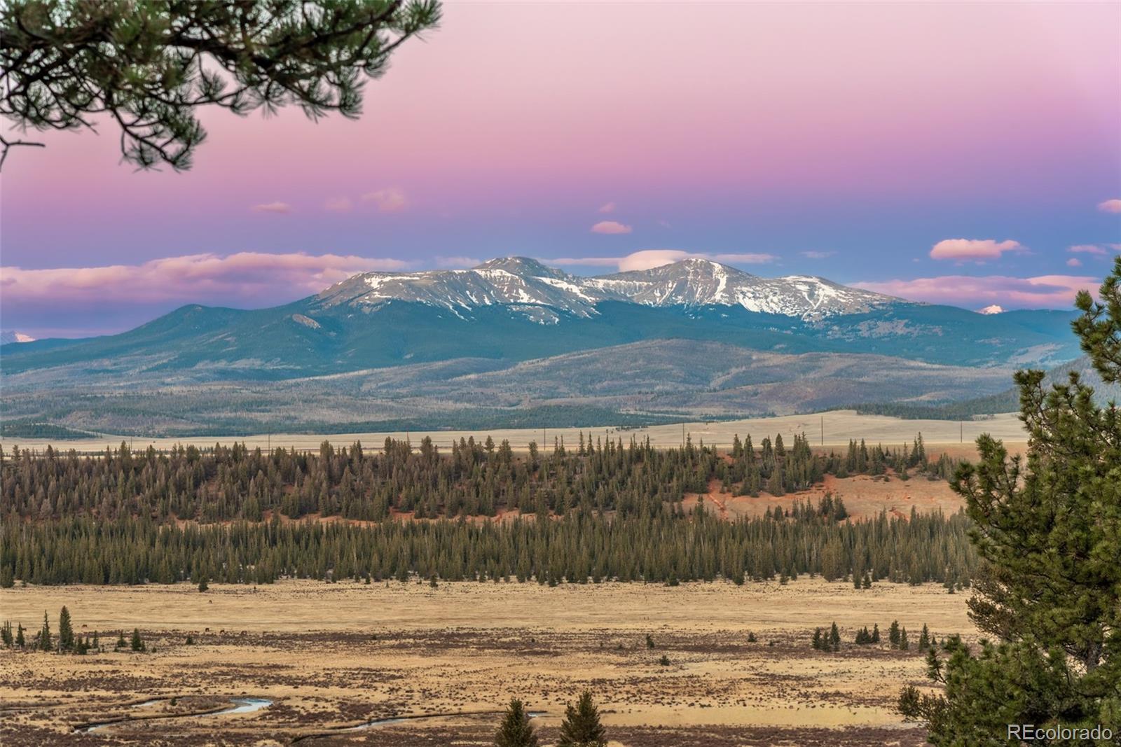 1416 Bonell Drive Fairplay CO 80440