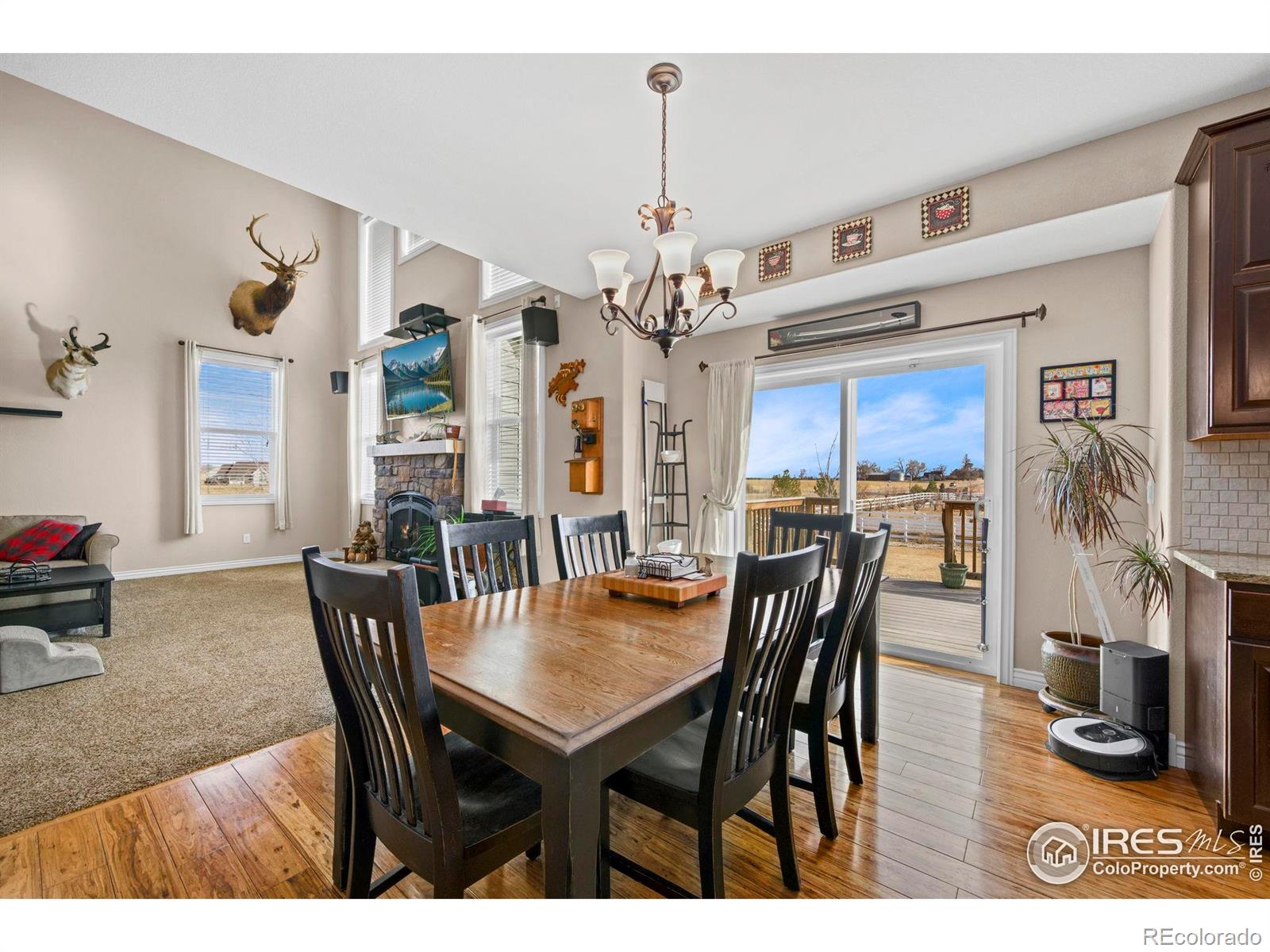 1302 Park Ridge Drive Severance CO 80615
