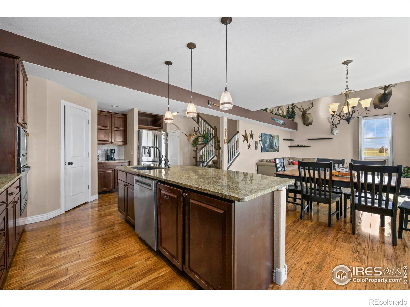 1302 Park Ridge Drive Severance CO 80615