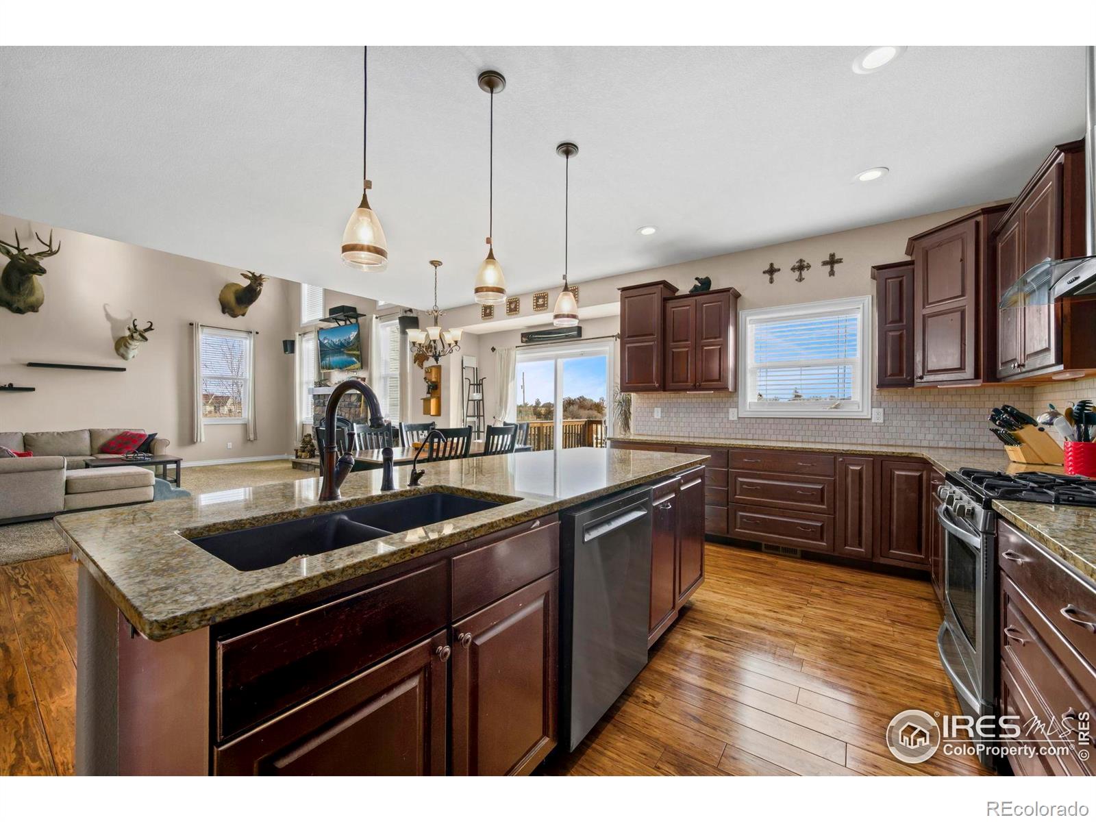 1302 Park Ridge Drive Severance CO 80615