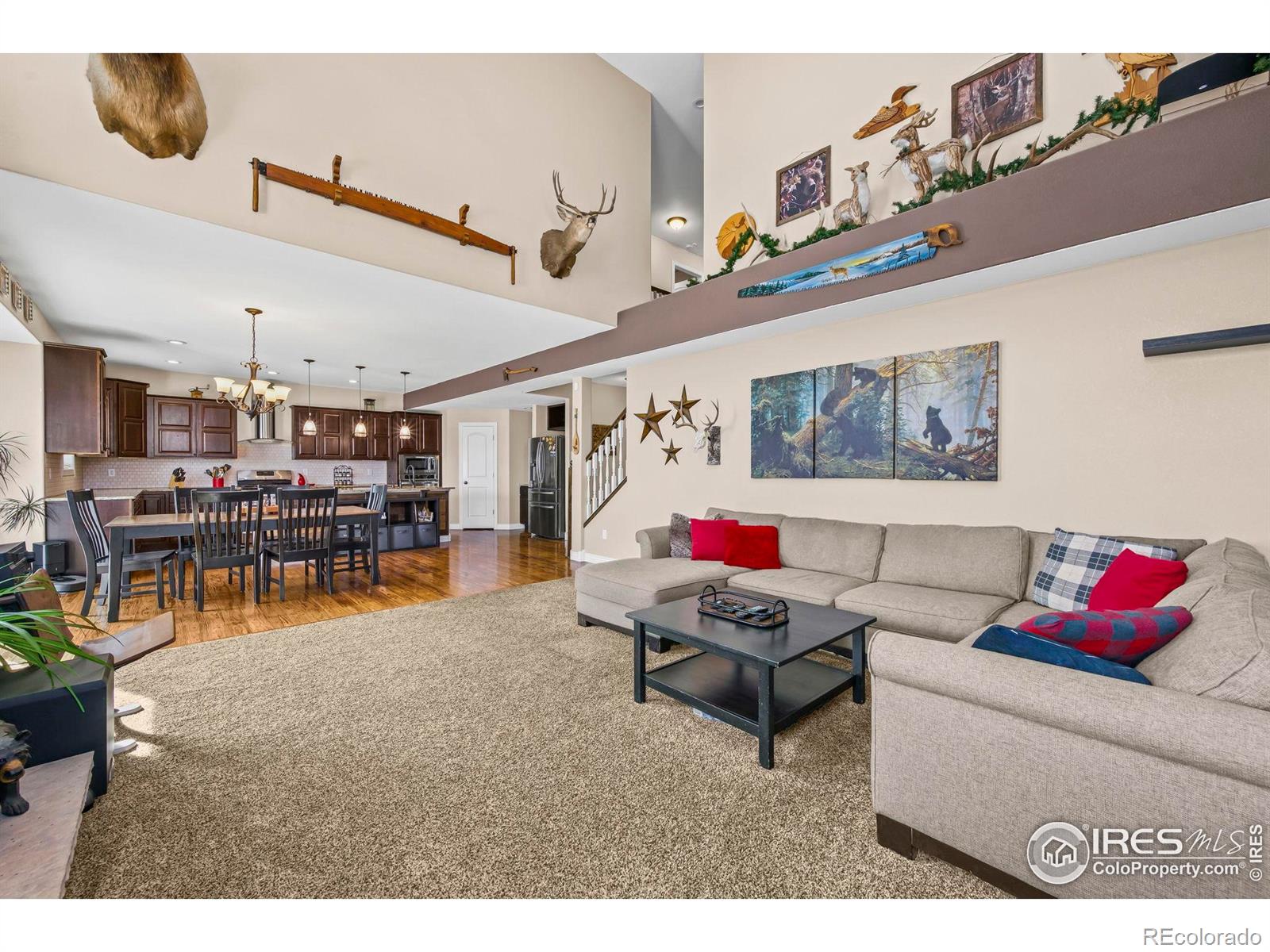 1302 Park Ridge Drive Severance CO 80615