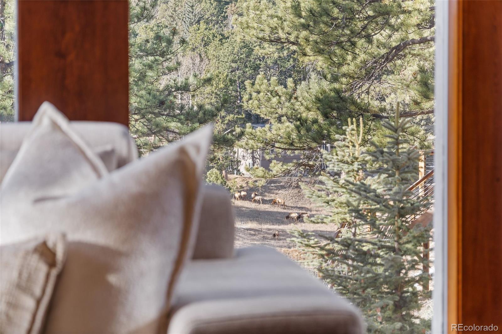 2122 Cramner Court Evergreen CO 80439