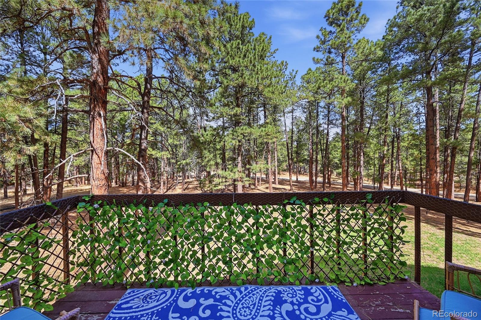4724 Deer Trail Elizabeth CO 80107
