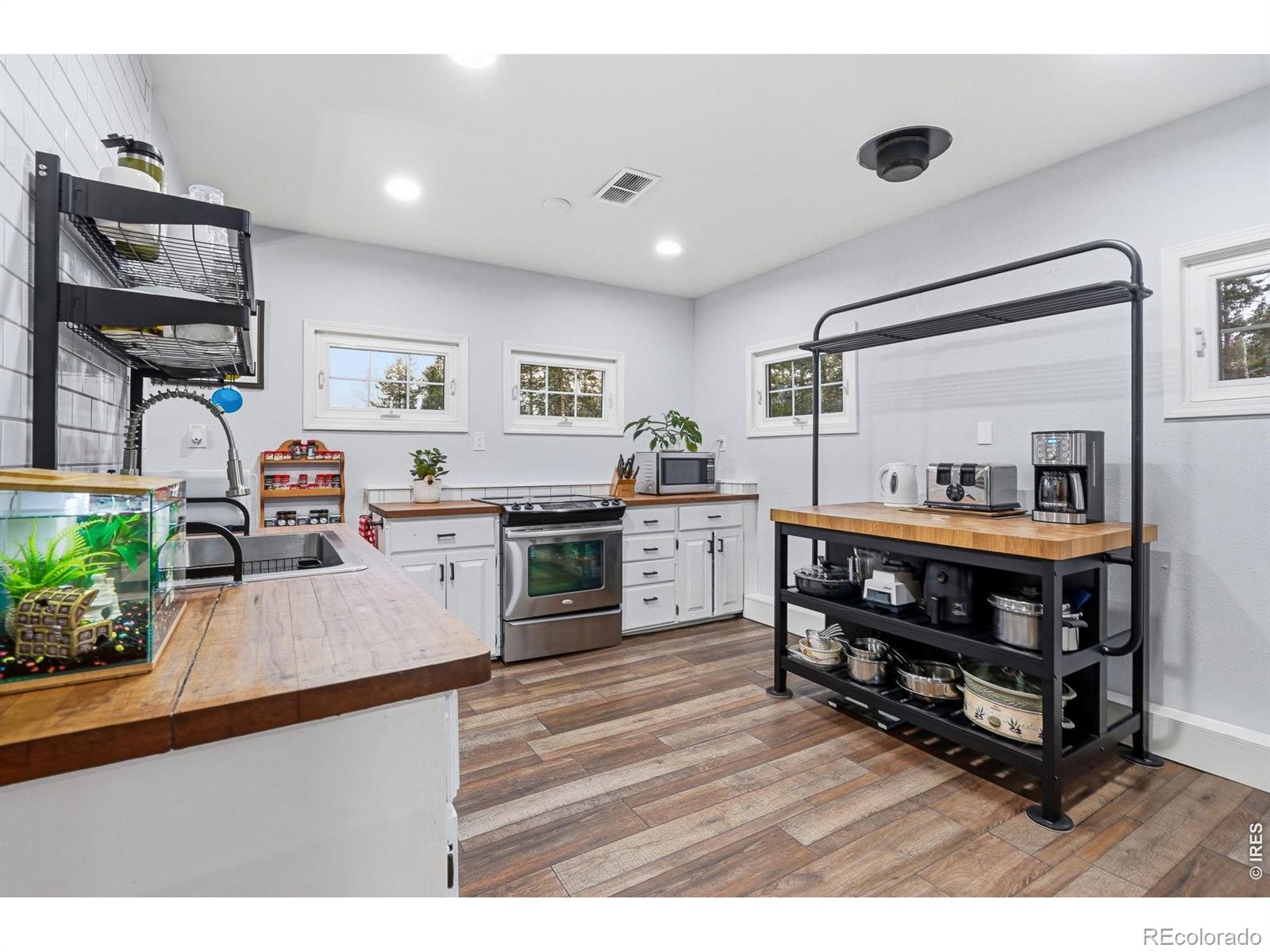 31551 Black Widow Drive Conifer CO 80433