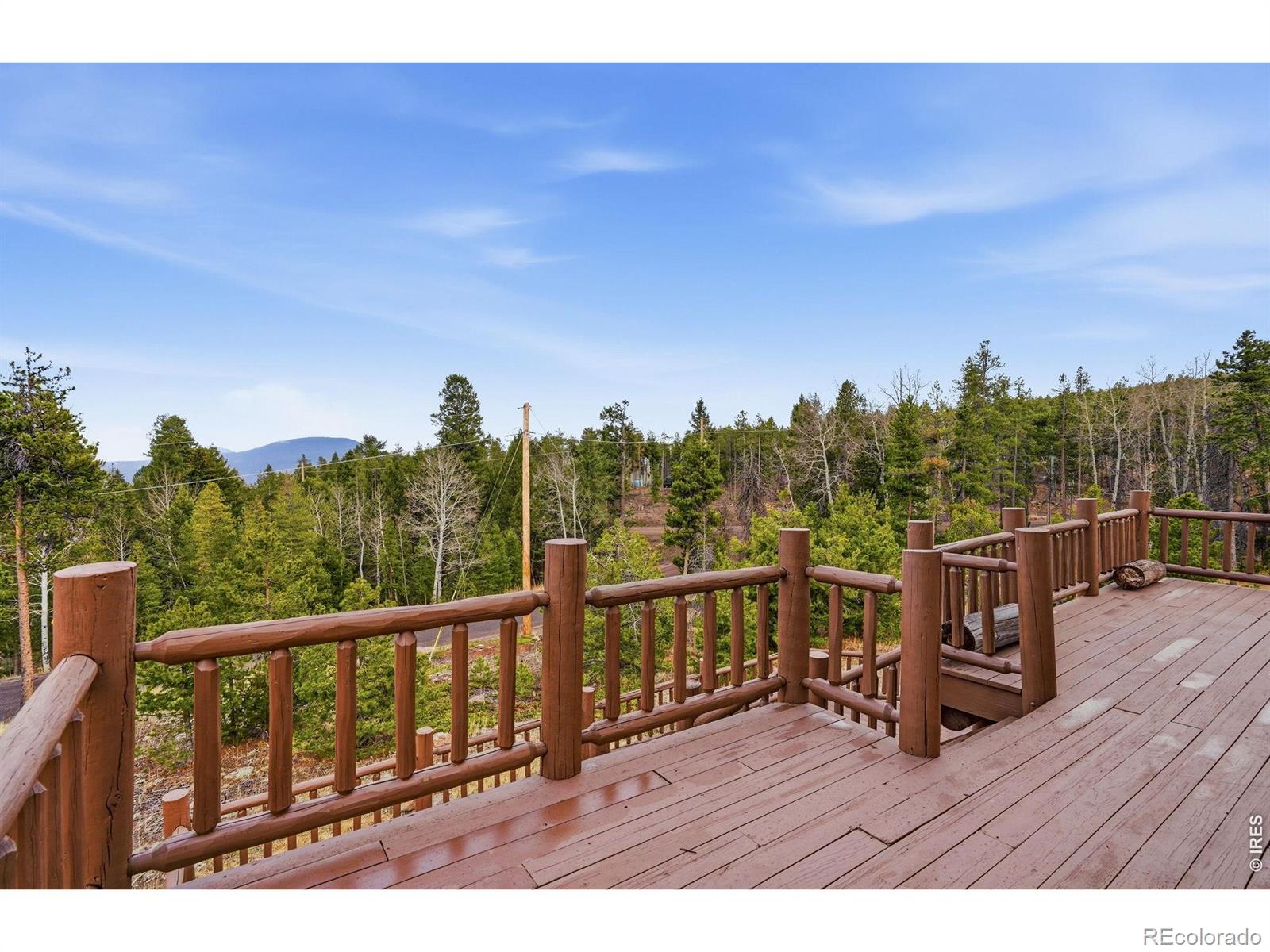 31551 Black Widow Drive Conifer CO 80433