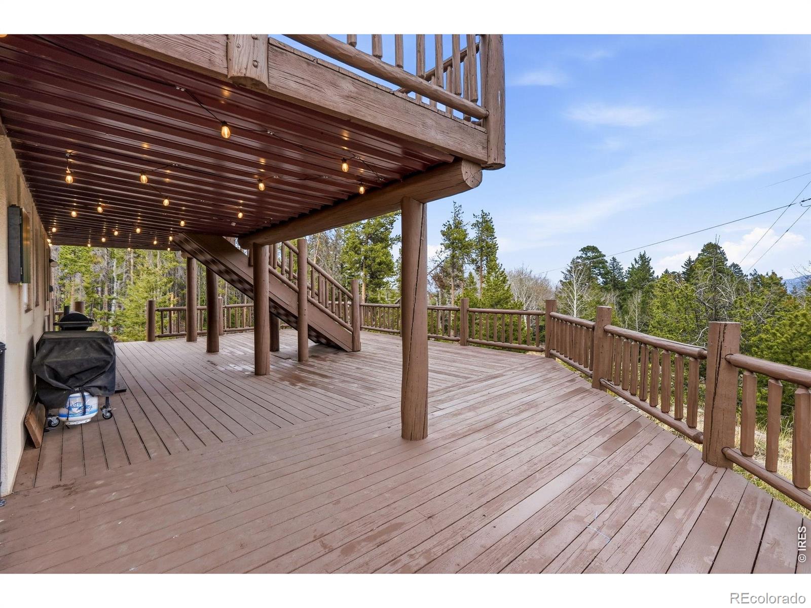 31551 Black Widow Drive Conifer CO 80433