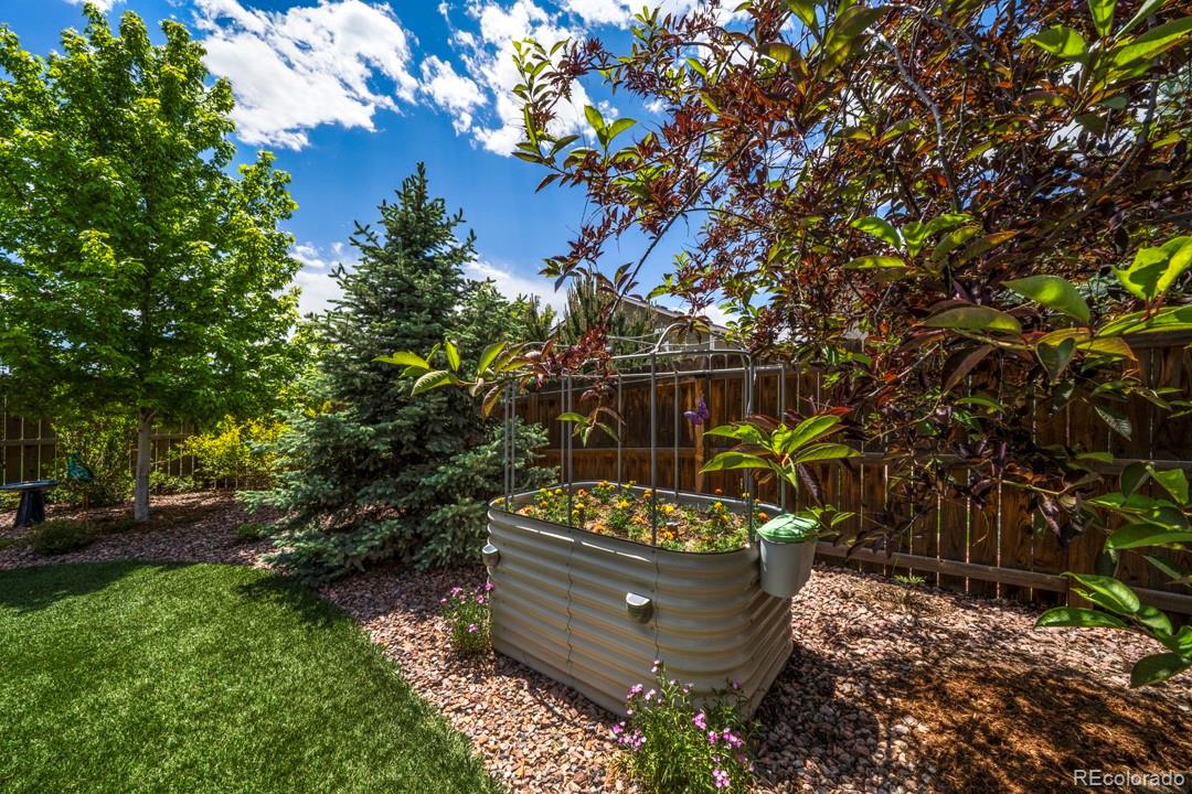 6658 Edmondstown Drive Colorado Springs CO 80923