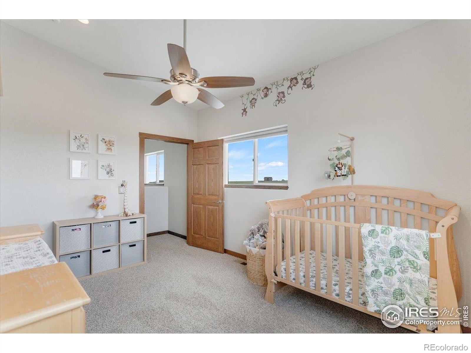 7322 County Road 104 Wellington CO 80549