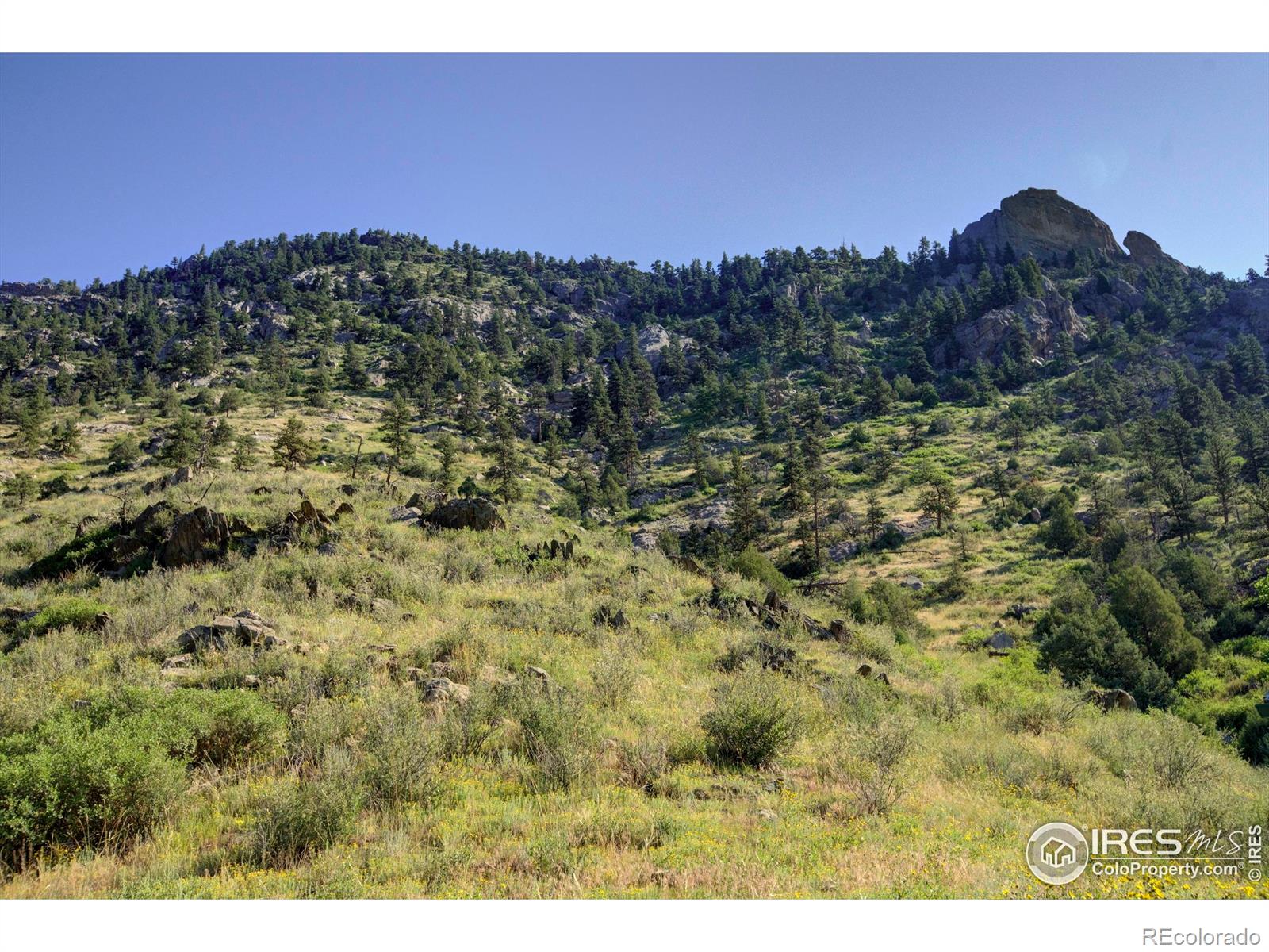 12547 County Road 43 Drake CO 80515