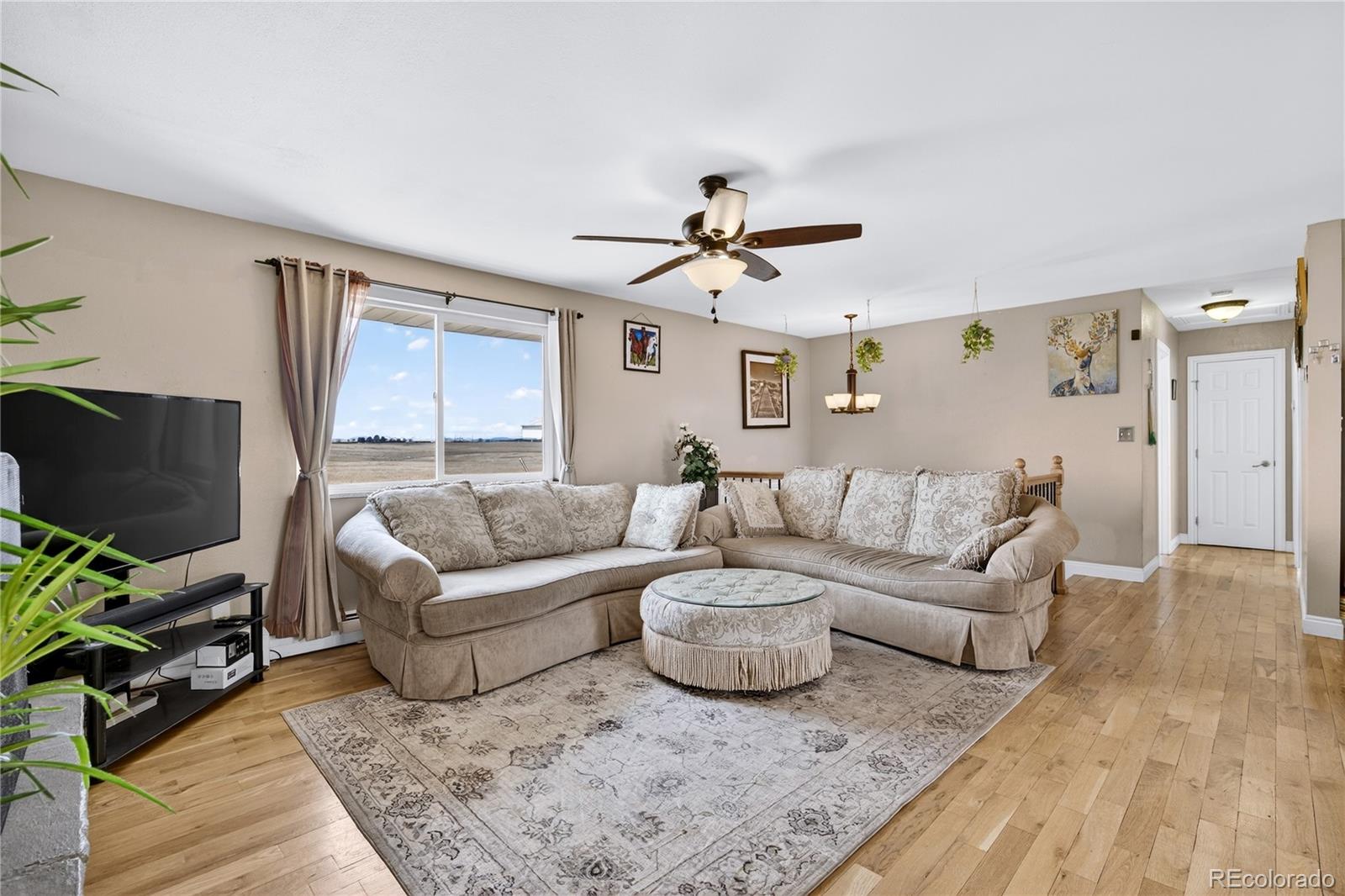 12626 N 1st Street Parker CO 80134