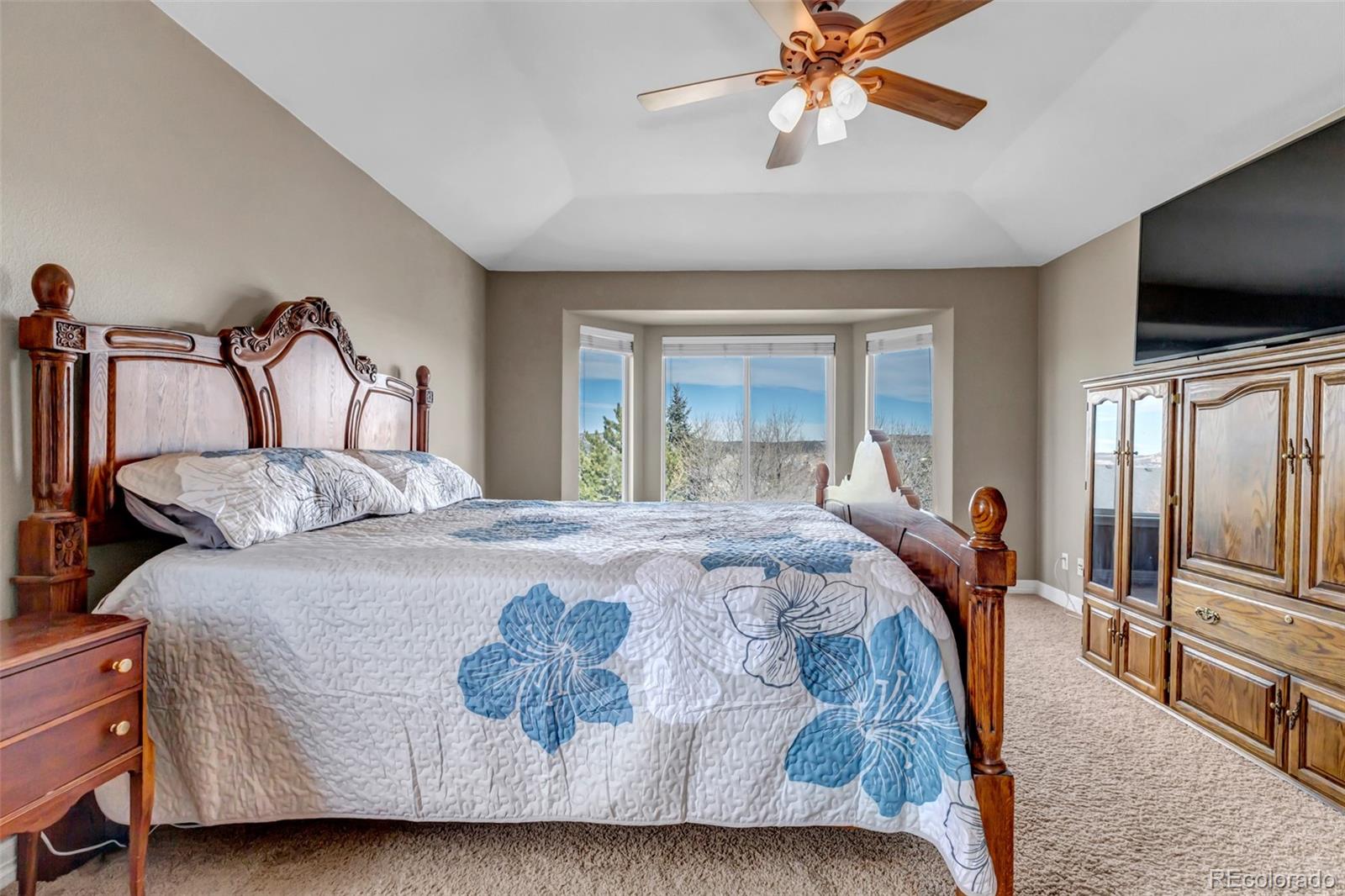 3188 Soaring Eagle Lane Castle Rock CO 80109