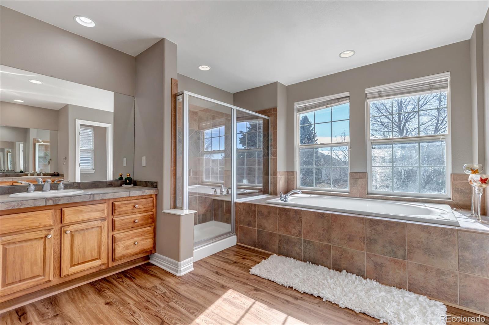 3188 Soaring Eagle Lane Castle Rock CO 80109