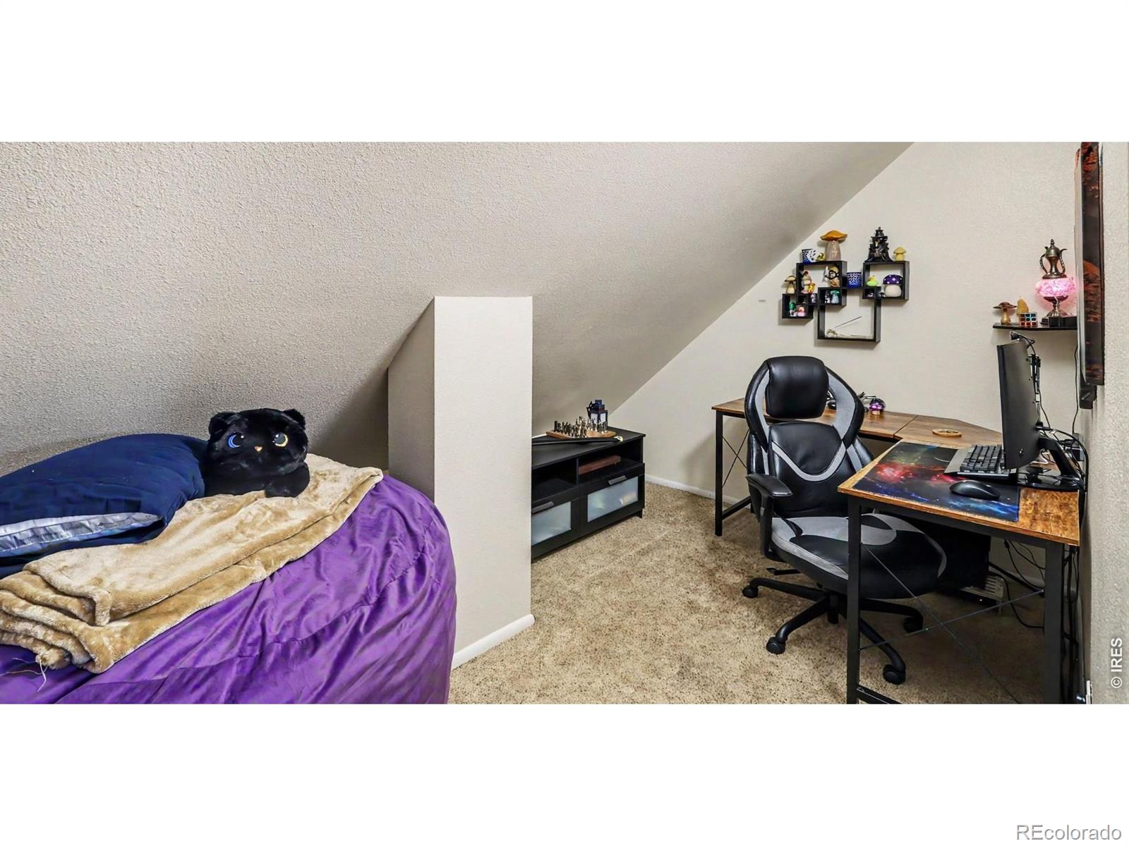 6301 Buckhorn Drive Loveland CO 80538
