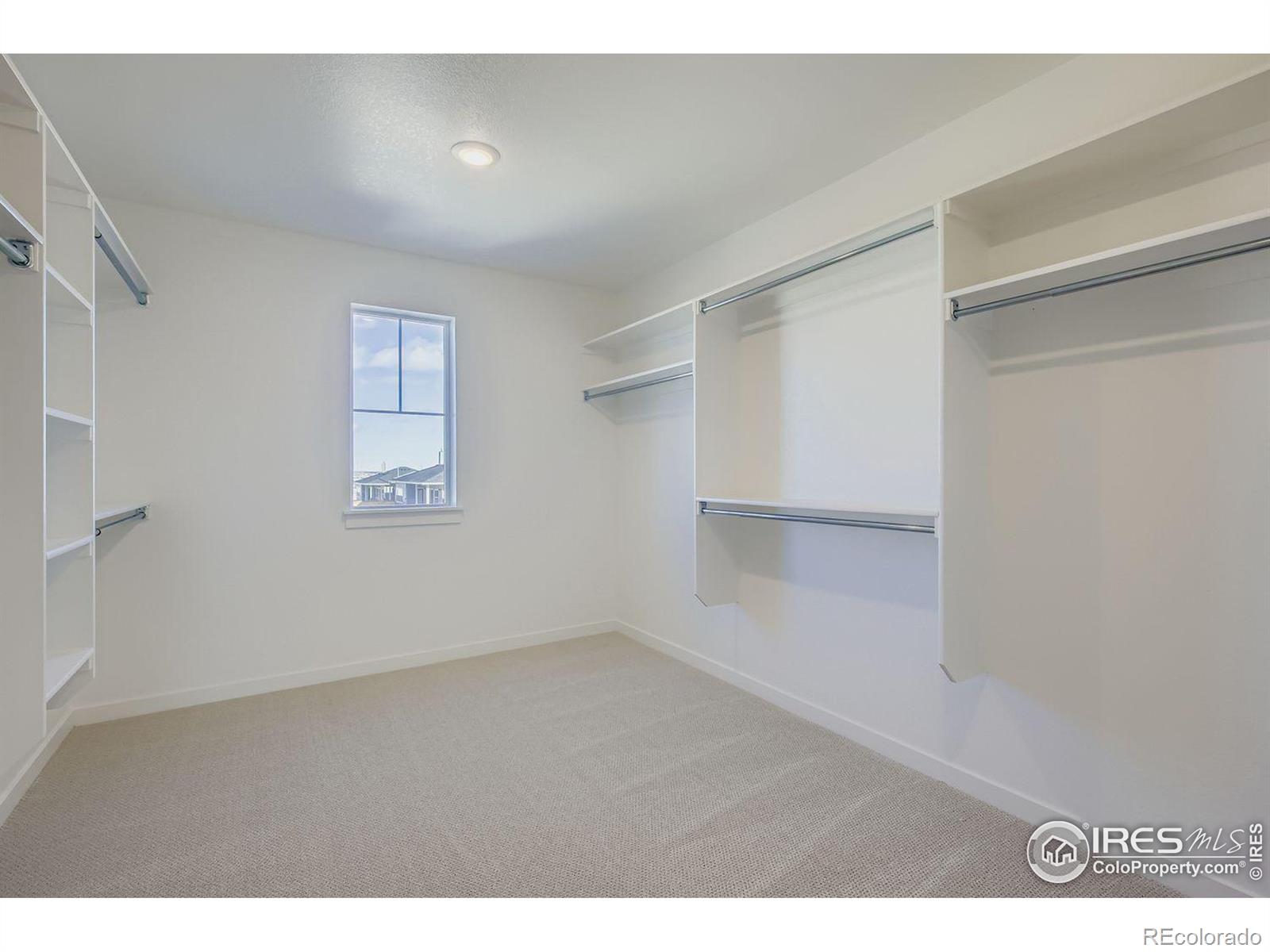 1833 Flourish Drive Windsor CO 80550