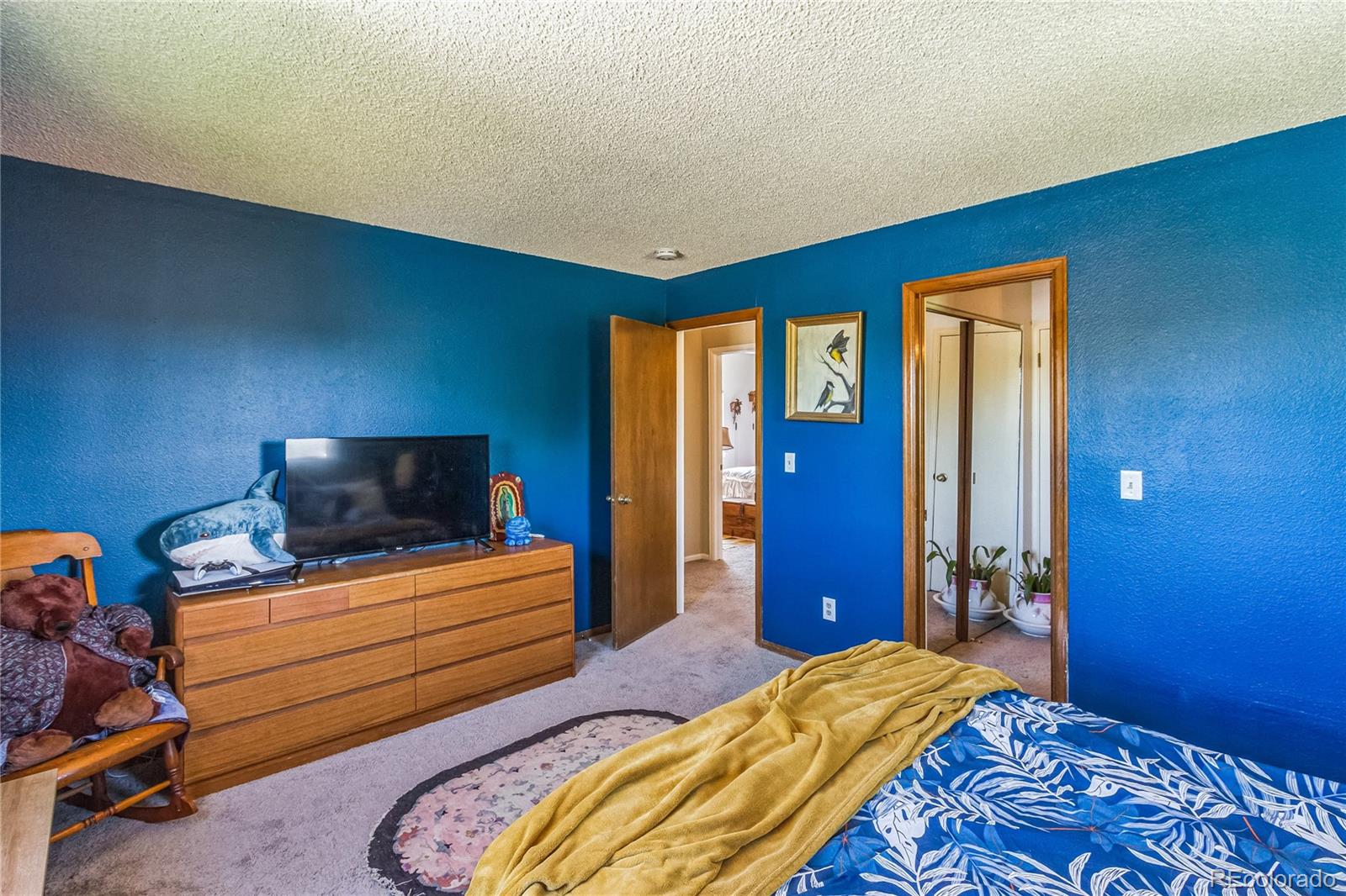 7209 N Hyperion Way Parker CO 80134