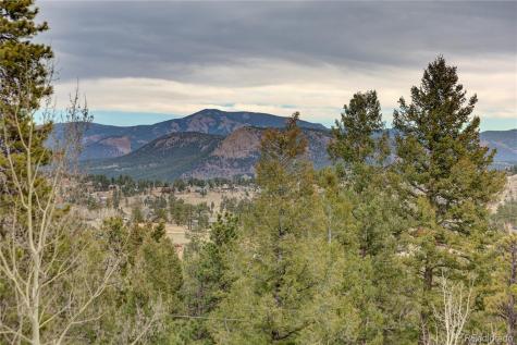 261 Mount Bailey Drive Bailey CO 80421