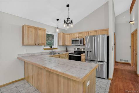 261 Mount Bailey Drive Bailey CO 80421