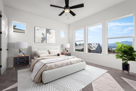 17258 Alsike Clover Court Monument CO 80132