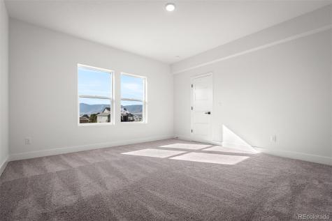 17258 Alsike Clover Court Monument CO 80132