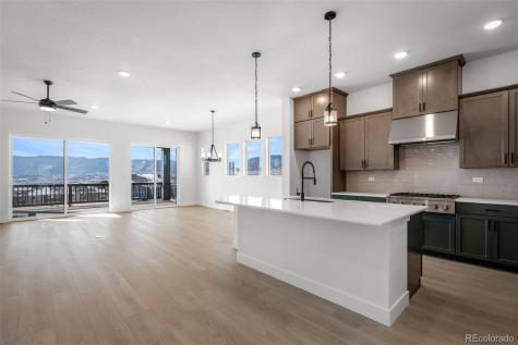 17258 Alsike Clover Court Monument CO 80132