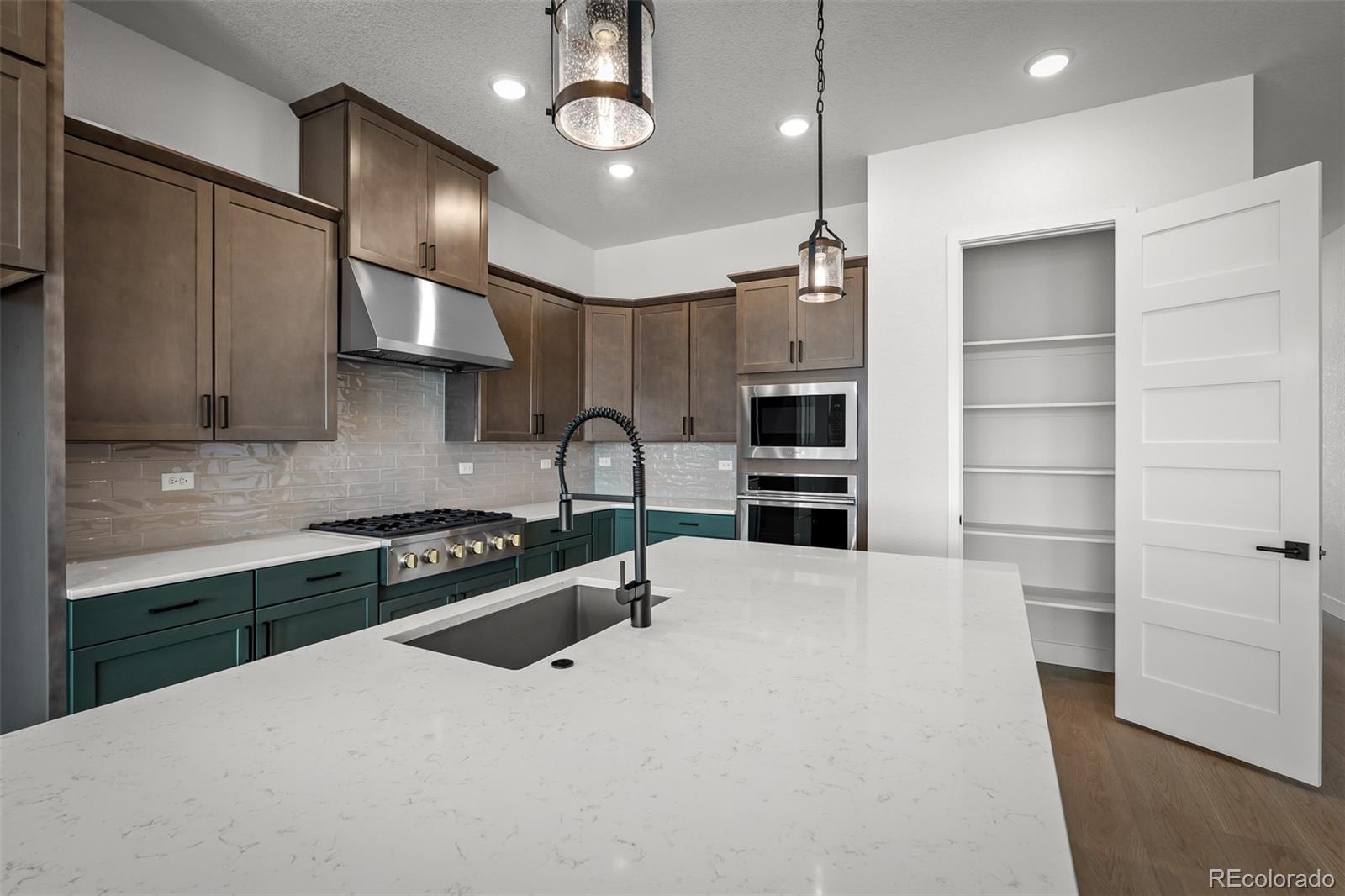 17258 Alsike Clover Court Monument CO 80132