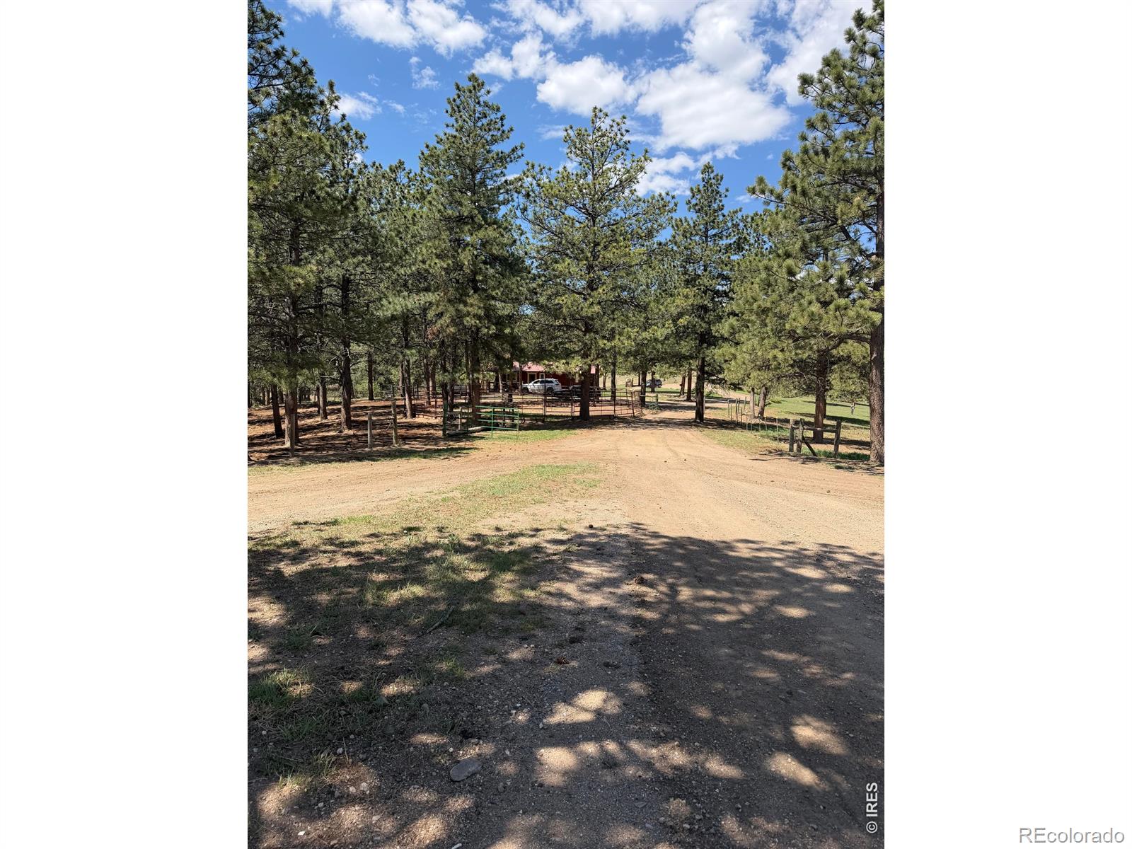 89 Aspen Leaf Lane Bellvue CO 80512