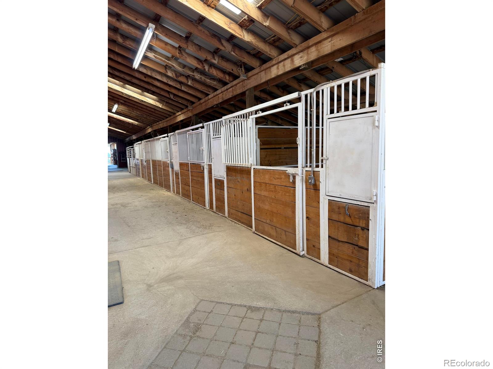 89 Aspen Leaf Lane Bellvue CO 80512