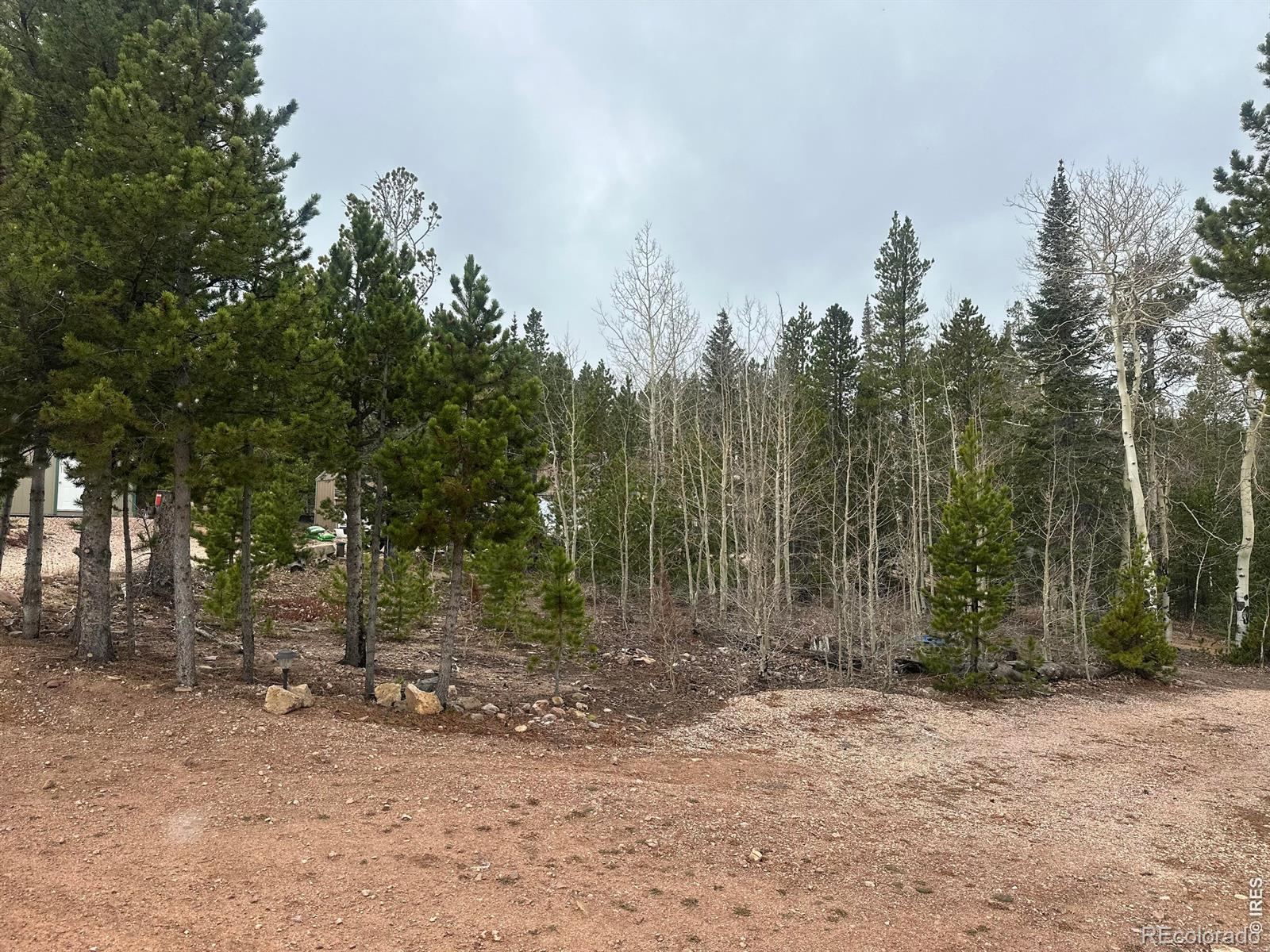 44 Natchez Circle Red Feather Lakes CO 80545