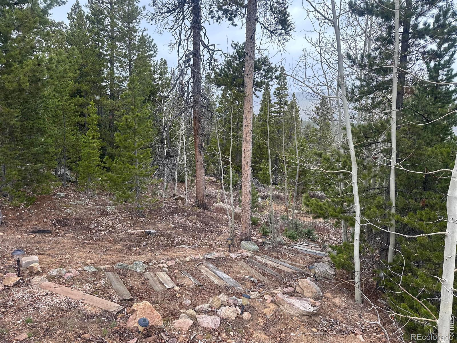 44 Natchez Circle Red Feather Lakes CO 80545
