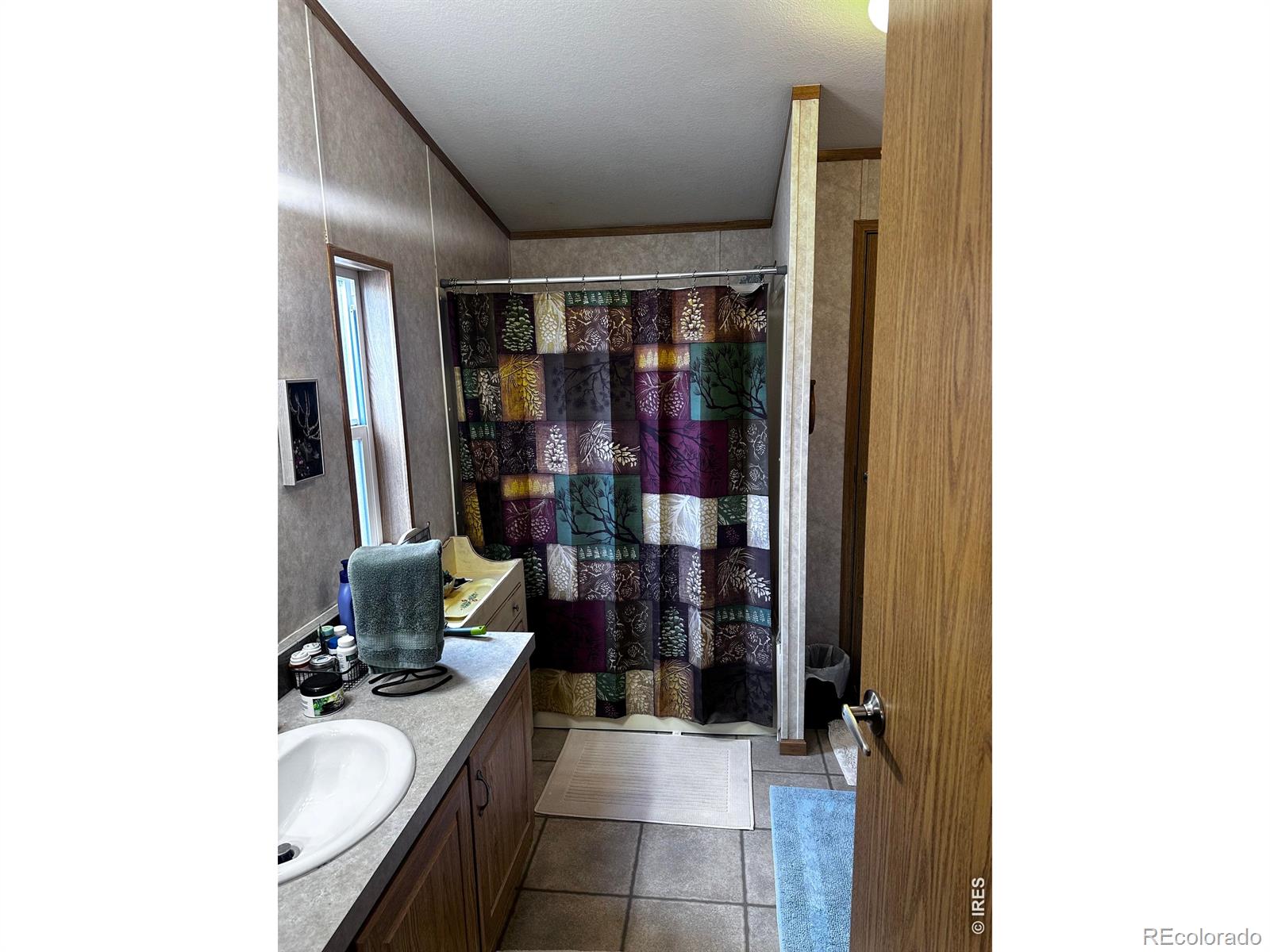 44 Natchez Circle Red Feather Lakes CO 80545