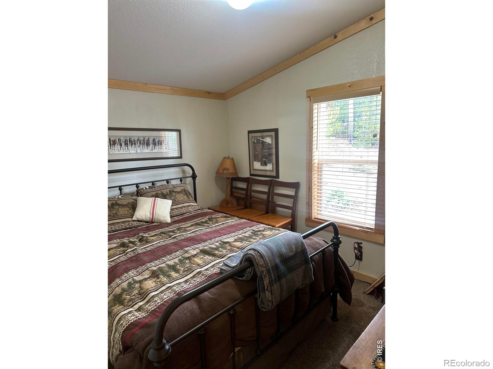 44 Natchez Circle Red Feather Lakes CO 80545