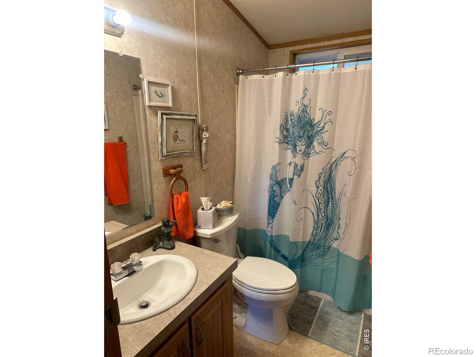 44 Natchez Circle Red Feather Lakes CO 80545