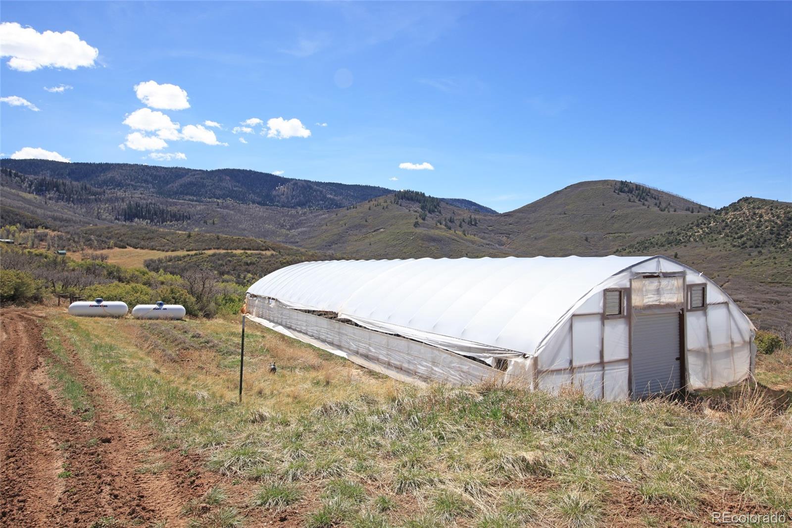 10822 60 3/4 Road Collbran CO 81624