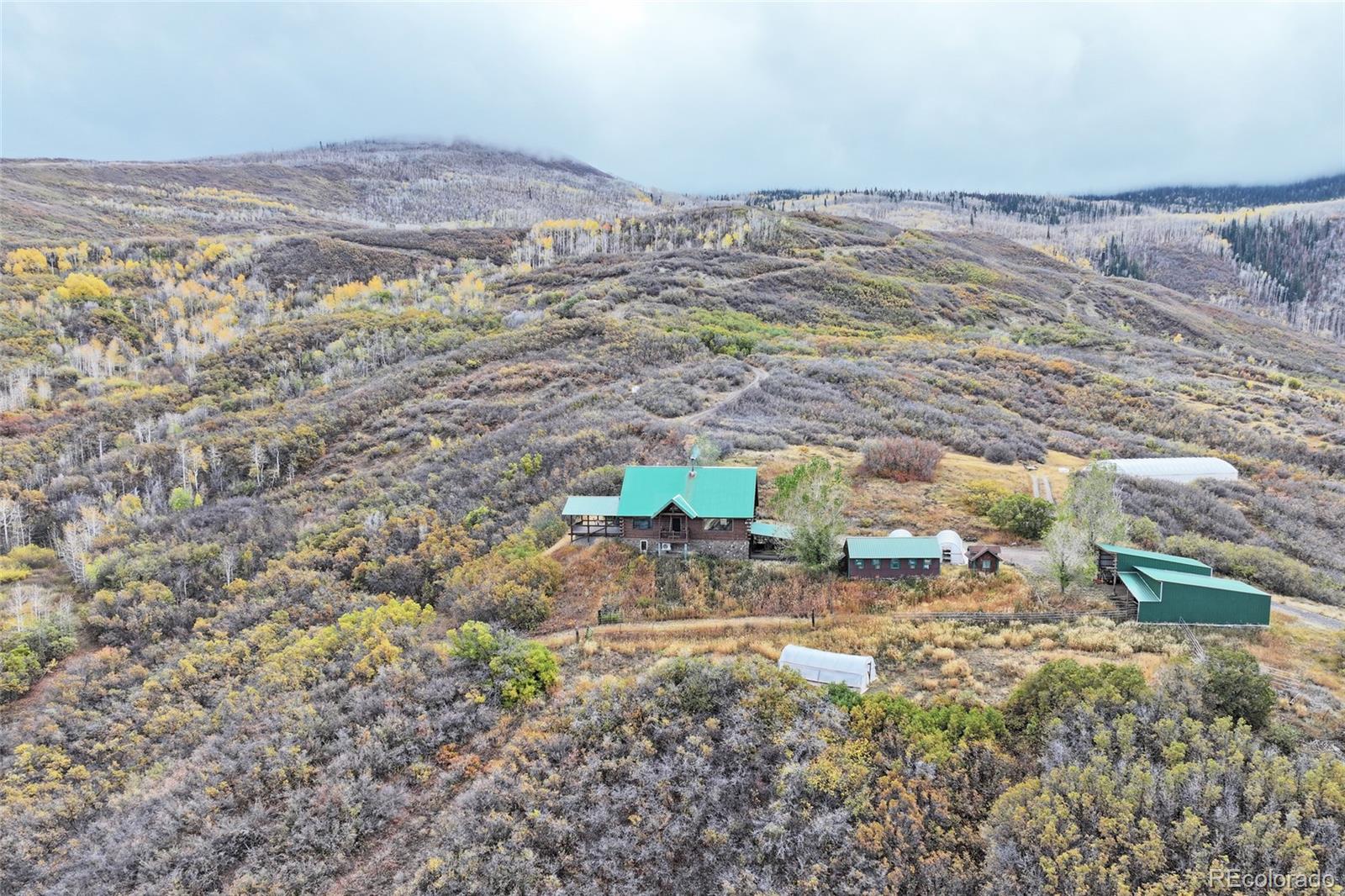 10822 60 3/4 Road Collbran CO 81624
