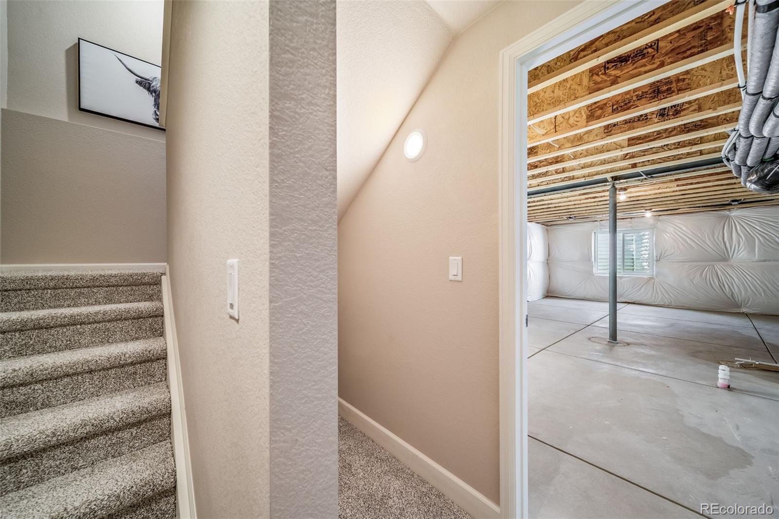 4339 Alderwood Drive Johnstown CO 80534