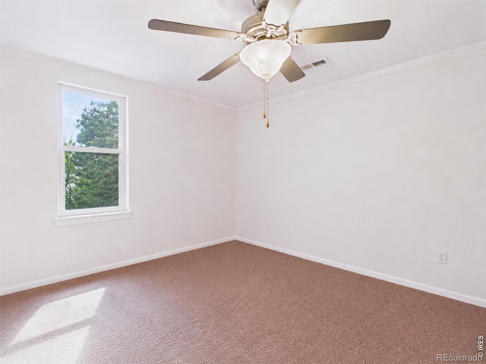 413 Park Avenue Eaton CO 80615