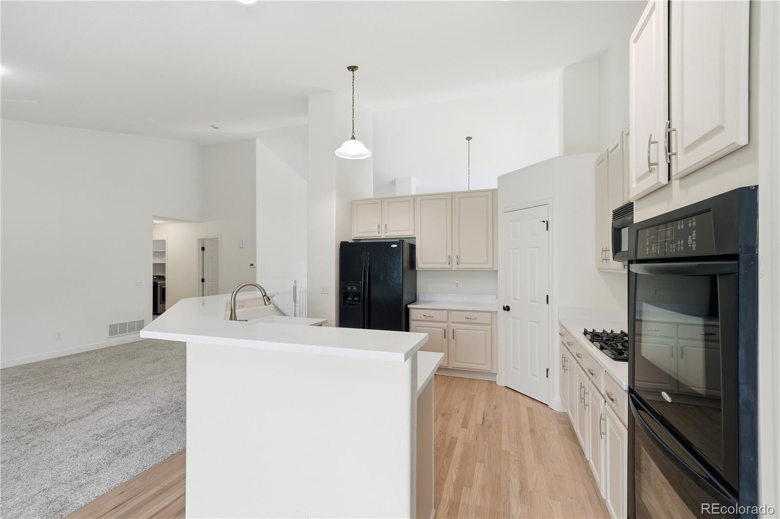 3885 Aspen Hollow Court Castle Rock CO 80104