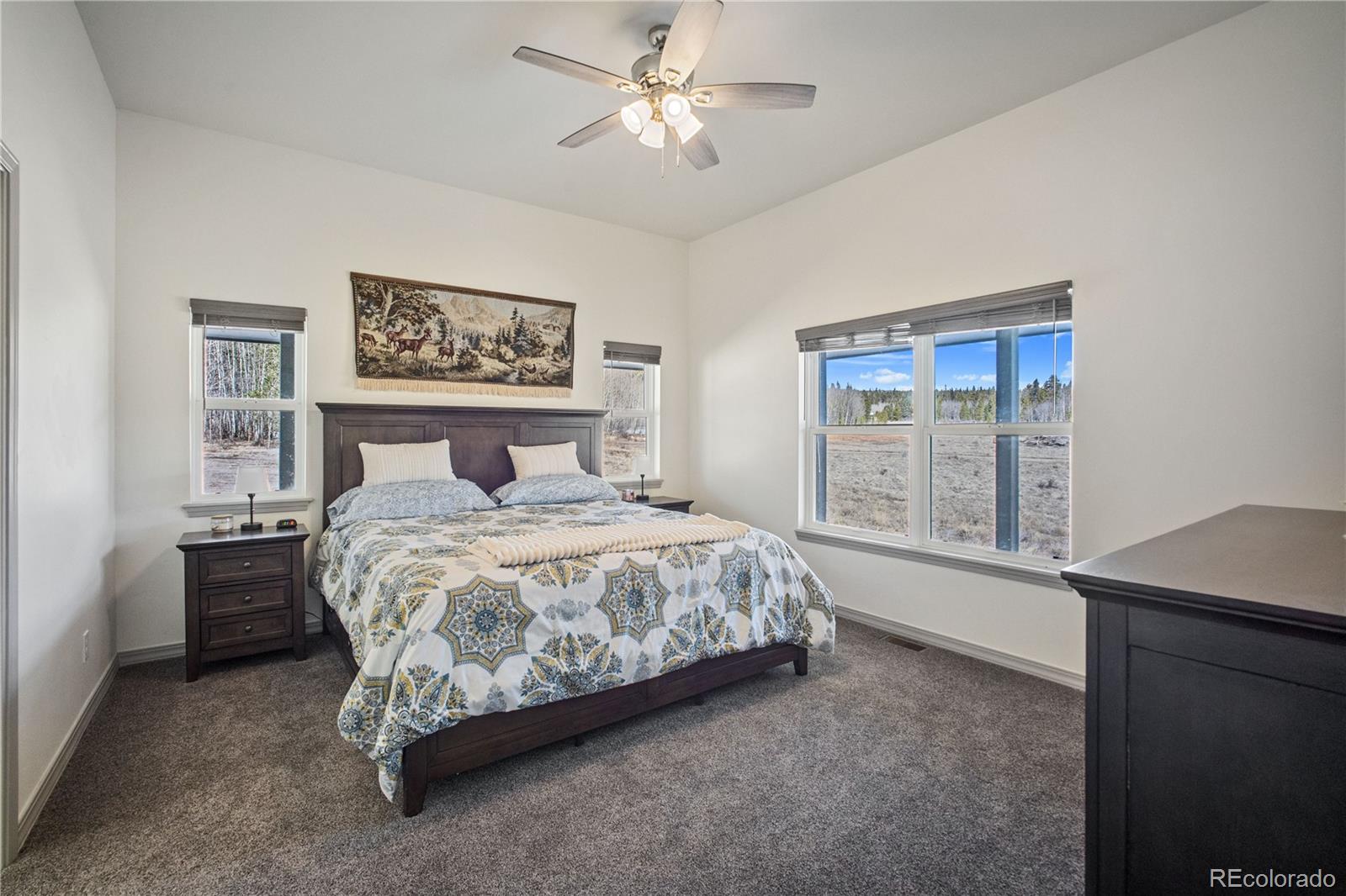 247 Foxtail Court Fairplay CO 80440