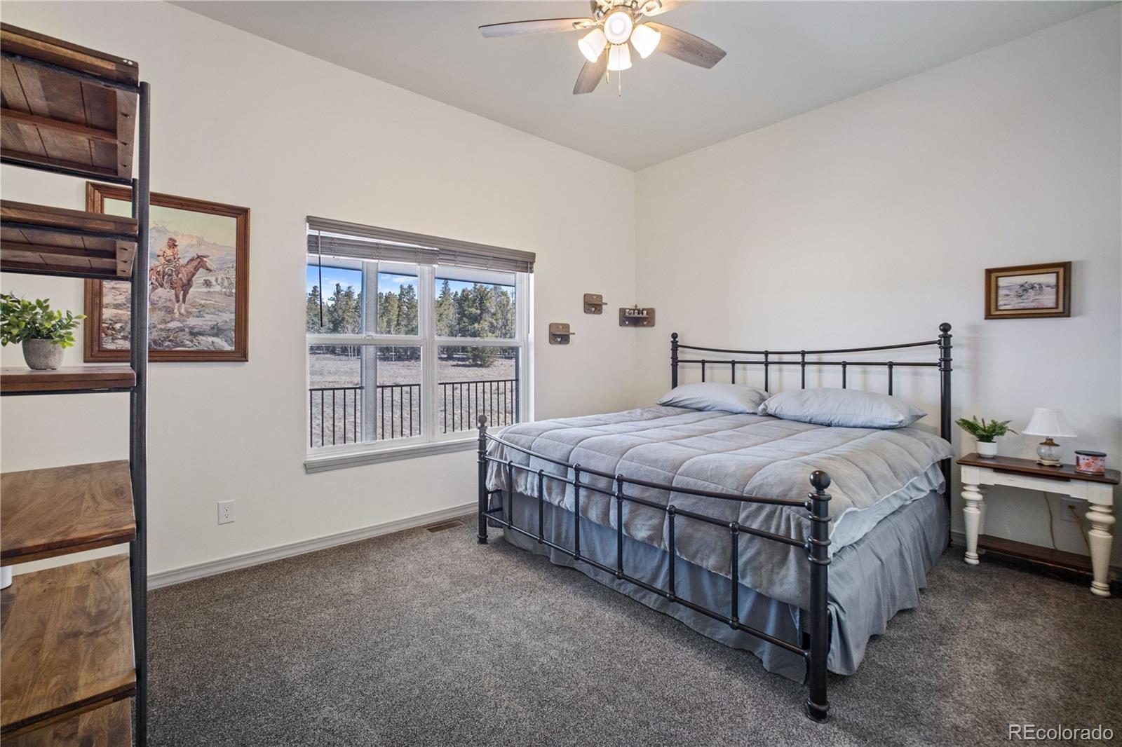 247 Foxtail Court Fairplay CO 80440