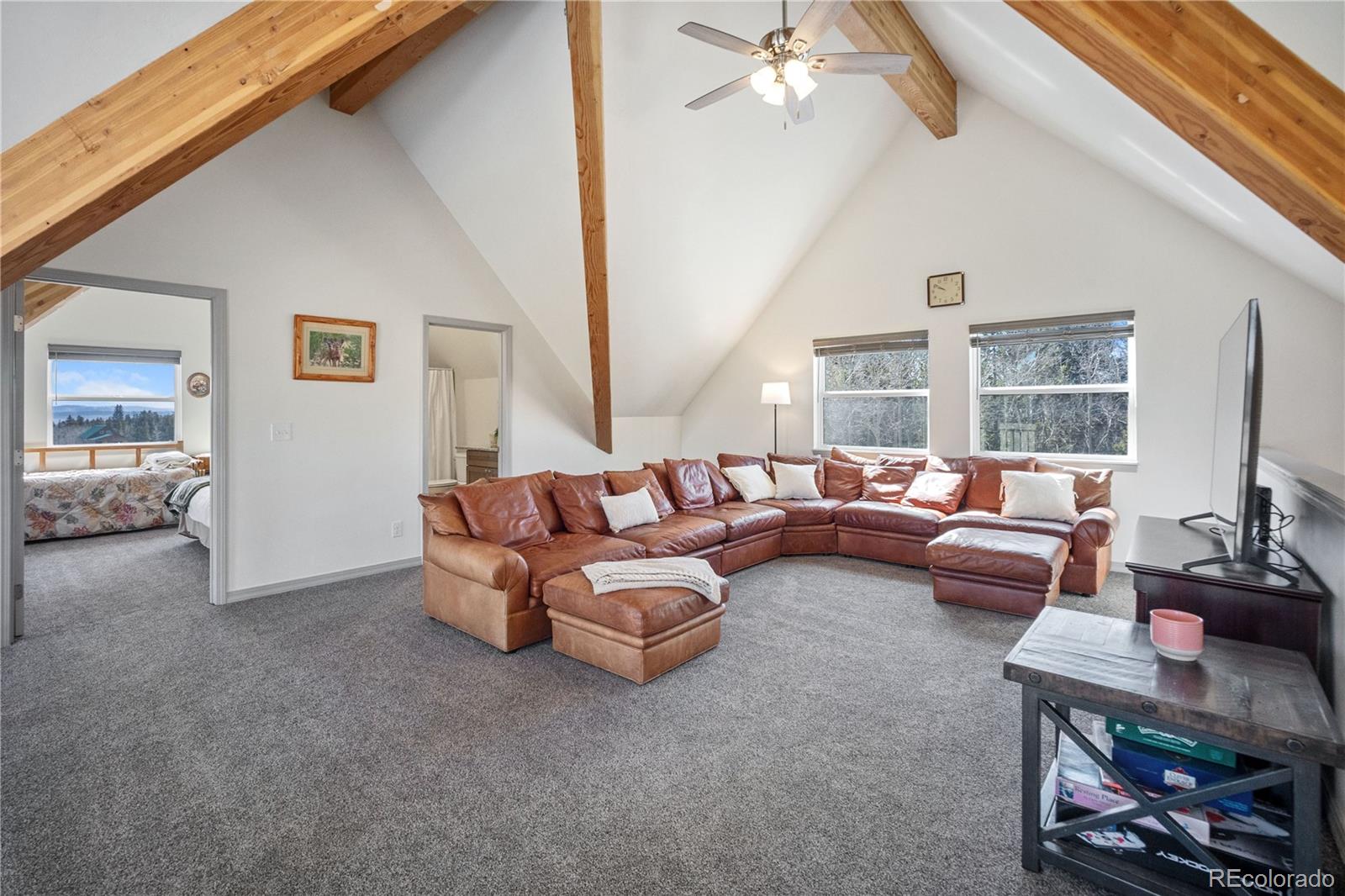 247 Foxtail Court Fairplay CO 80440
