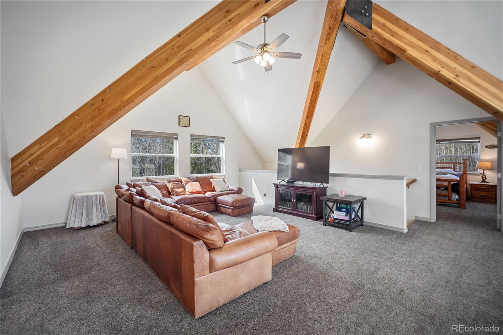 247 Foxtail Court Fairplay CO 80440