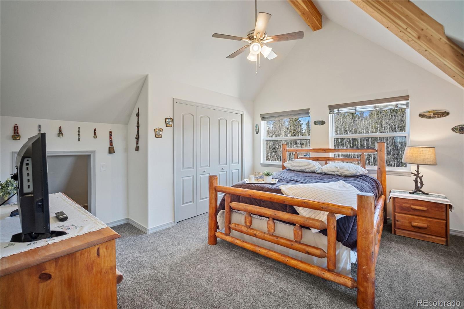 247 Foxtail Court Fairplay CO 80440