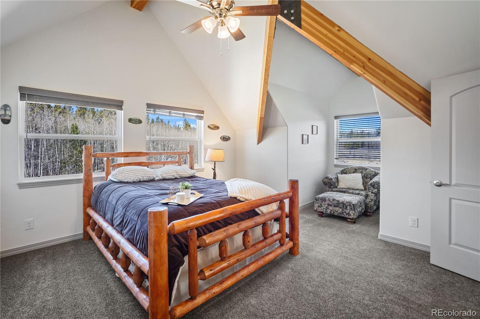 247 Foxtail Court Fairplay CO 80440