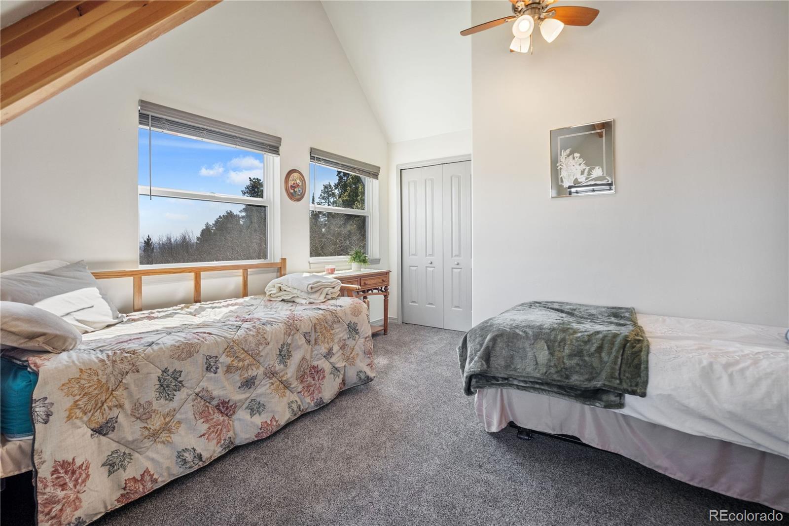 247 Foxtail Court Fairplay CO 80440
